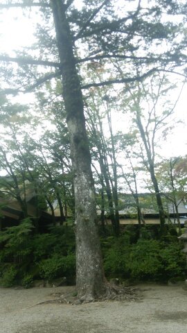 W不倫うつ病セックスレス夫婦の離婚 東京都荒川区呪い